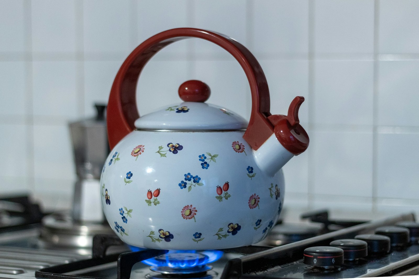 Wasserkocher mit Dampf